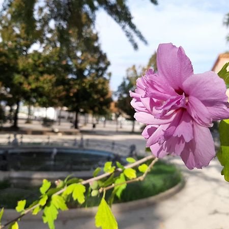 카스텔라마레디스타비아 Casa Andrea Tra Napoli E Sorrento 아파트 외부 사진